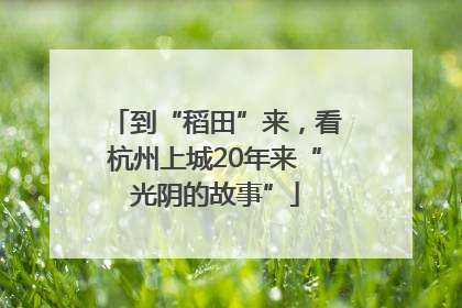 到“稻田”来，看杭州上城20年来“光阴的故事”