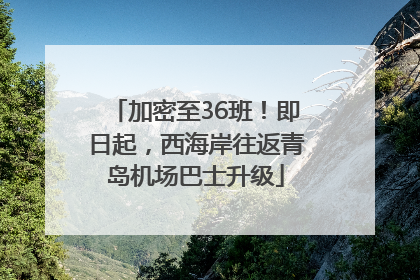 加密至36班！即日起，西海岸往返青岛机场巴士升级