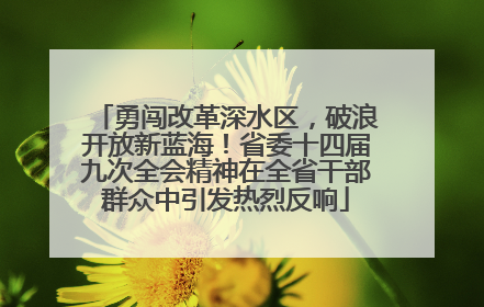 勇闯改革深水区，破浪开放新蓝海！省委十四届九次全会精神在全省干部群众中引发热烈反响