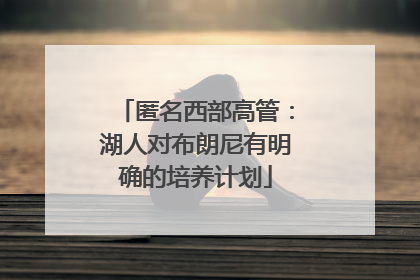 匿名西部高管：湖人对布朗尼有明确的培养计划