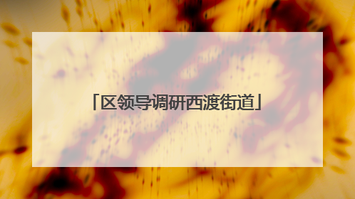 区领导调研西渡街道