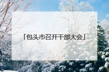 包头市召开干部大会