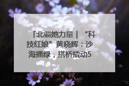 北疆她力量｜“科技红娘”黄晓辉：沙海播绿，搭桥撬动5.3亿研发