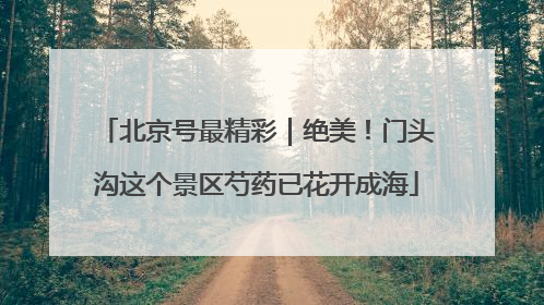 北京号最精彩｜绝美！门头沟这个景区芍药已花开成海