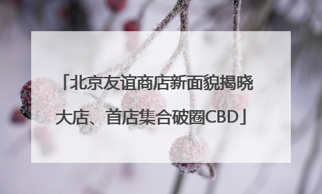 北京友谊商店新面貌揭晓 大店、首店集合破圈CBD