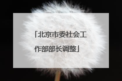北京市委社会工作部部长调整