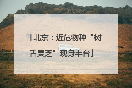 北京：近危物种“树舌灵芝”现身丰台