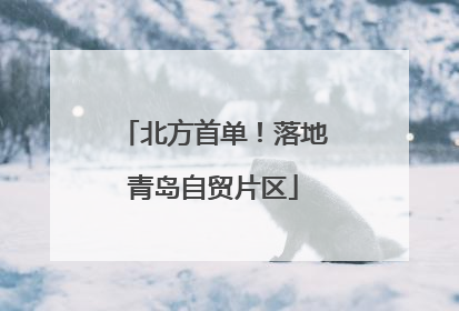 北方首单！落地青岛自贸片区