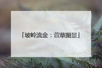 坡岭流金：萱草图景