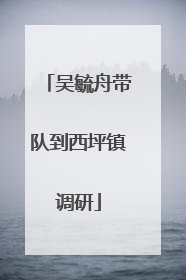 吴毓舟带队到西坪镇调研