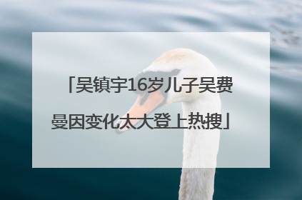吴镇宇16岁儿子吴费曼因变化太大登上热搜