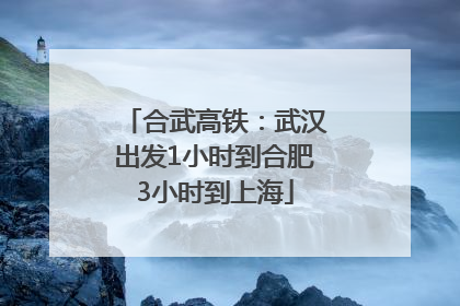 合武高铁：武汉出发1小时到合肥3小时到上海