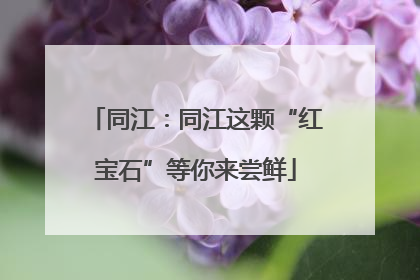 同江：同江这颗“红宝石”等你来尝鲜