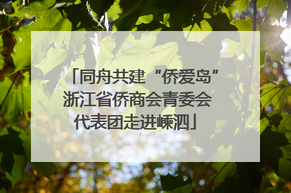 同舟共建“侨爱岛” 浙江省侨商会青委会代表团走进嵊泗