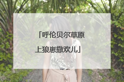 呼伦贝尔草原上狼崽撒欢儿