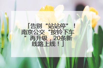 告别“站站停”！南京公交“按铃下车”再升级，20条新线路上线！