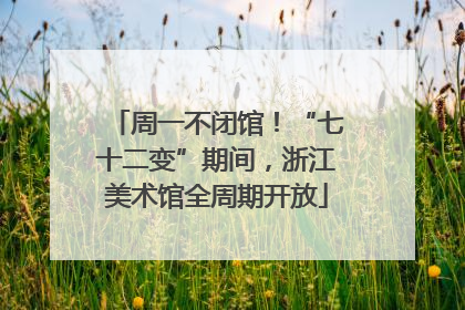 周一不闭馆！“七十二变”期间，浙江美术馆全周期开放