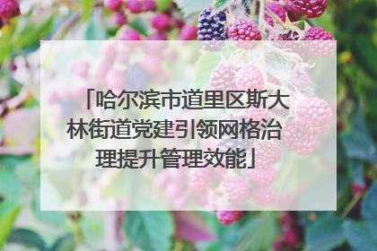 哈尔滨市道里区斯大林街道党建引领网格治理提升管理效能