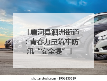 唐河县泗洲街道：青春力量筑牢防汛“安全堤”