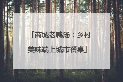 商城老鸭汤：乡村美味端上城市餐桌