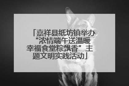 嘉祥县纸坊镇举办“浓情端午送温暖 幸福食堂粽飘香”主题文明实践活动