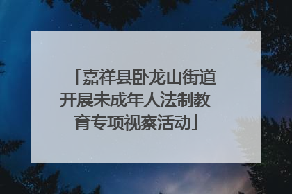 嘉祥县卧龙山街道开展未成年人法制教育专项视察活动