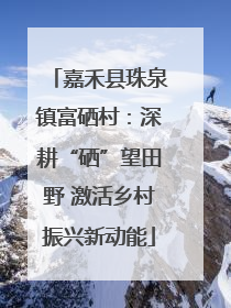 嘉禾县珠泉镇富硒村：深耕“硒”望田野 激活乡村振兴新动能