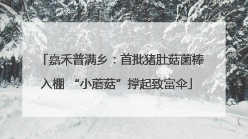嘉禾普满乡：首批猪肚菇菌棒入棚 “小蘑菇”撑起致富伞