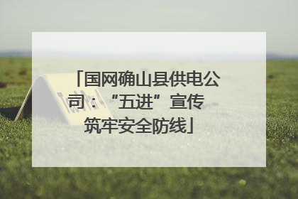 国网确山县供电公司：“五进”宣传 筑牢安全防线