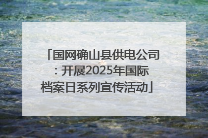 国网确山县供电公司：开展2025年国际档案日系列宣传活动
