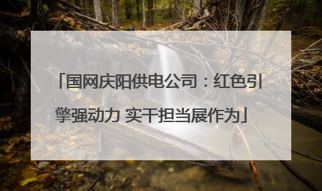 国网庆阳供电公司：红色引擎强动力 实干担当展作为