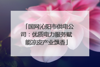 国网沁阳市供电公司：优质电力服务赋能凉皮产业飘香