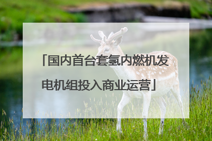 国内首台套氢内燃机发电机组投入商业运营