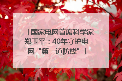 国家电网首席科学家郑玉平：40年守护电网“第一道防线”