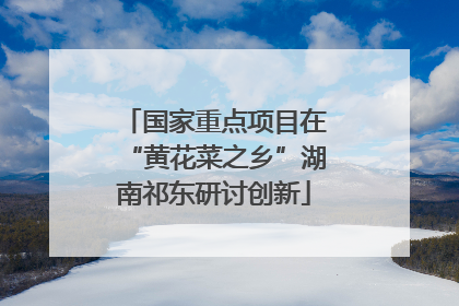 国家重点项目在“黄花菜之乡”湖南祁东研讨创新