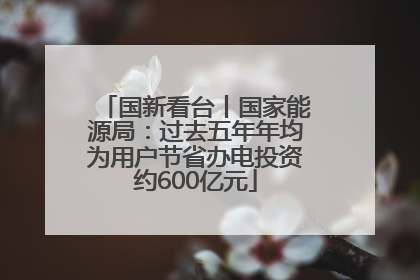 国新看台丨国家能源局：过去五年年均为用户节省办电投资约600亿元