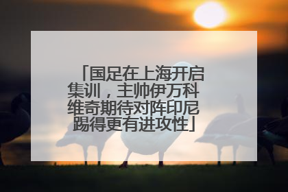 国足在上海开启集训，主帅伊万科维奇期待对阵印尼踢得更有进攻性