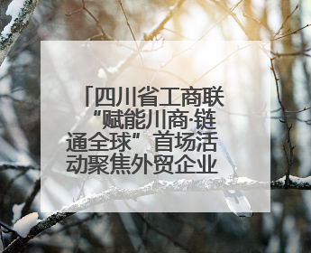 四川省工商联“赋能川商·链通全球”首场活动聚焦外贸企业应对贸易摩擦