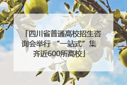 四川省普通高校招生咨询会举行 “一站式”集齐近600所高校