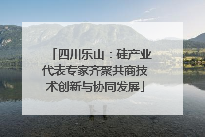 四川乐山：硅产业代表专家齐聚共商技术创新与协同发展