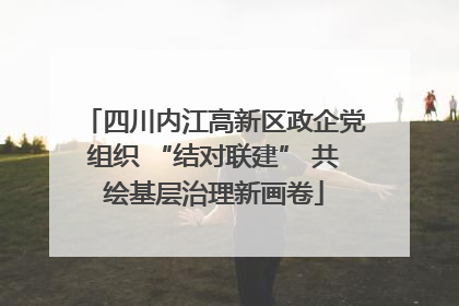 四川内江高新区政企党组织 “结对联建” 共绘基层治理新画卷