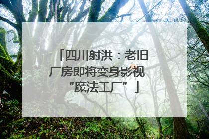 四川射洪：老旧厂房即将变身影视“魔法工厂”