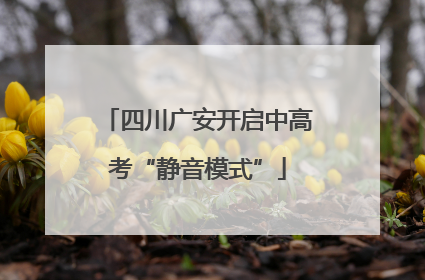 四川广安开启中高考“静音模式”