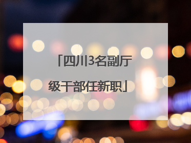 四川3名副厅级干部任新职