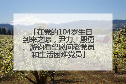 在党的104岁生日到来之际，尹力、殷勇、游钧看望慰问老党员和生活困难党员