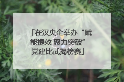 在汉央企举办“赋能提效 聚力突破”党建比武揭榜赛