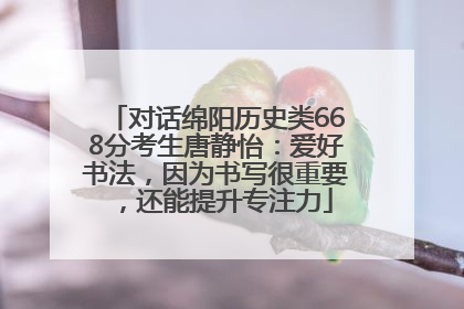对话绵阳历史类668分考生唐静怡：爱好书法，因为书写很重要，还能提升专注力