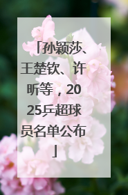 孙颖莎、王楚钦、许昕等，2025乒超球员名单公布