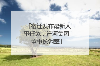 宿迁发布最新人事任免，洋河集团董事长调整