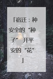 宿迁：种安全的“种子” 开平安的“花”